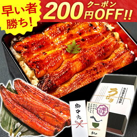 ＼早い者勝ち★200円クーポン／ お中元 御中元 プレゼント うなぎ 国産 蒲焼き 食べ物 送料無料 鰻 食品 グルメ 人気 ギフト 誕生日 内祝い 夏ギフト ご褒美 敬老の日 早割 180〜200g2本 2尾 最強配送 【静岡産 通常 AAA 化粧箱】iset [2〜3人前]うなぎのたなか