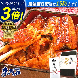 ＼上半期大感謝祭★P3倍＆150円クーポン／ うなぎ 国産 お中元 御中元 プレゼント 蒲焼き 食べ物 送料無料 鰻 食品 グルメ 人気 ギフト 誕生日 内祝い 夏ギフト ご褒美 小分け 蒲焼き 最強配送 【静岡産 AAA 簡易箱・化粧箱・風呂敷】PON-2 [1〜6人前] 浜名湖うなぎのたなか