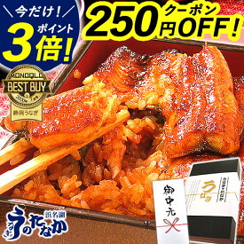 ＼土用丑直前★P3倍＆250円クーポン／ うなぎ 国産 お中元 御中元 プレゼント 蒲焼き 食べ物 送料無料 鰻 食品 グルメ 人気 ギフト 誕生日 内祝い 夏ギフト ご褒美 小分け 蒲焼き 最強配送 【静岡産 AAA 簡易箱・化粧箱・風呂敷】PON-2 [1〜6人前] 浜名湖うなぎのたなか