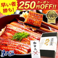 ＼上半期大感謝祭★250円クーポン／ お中元 御中元 プレゼント うなぎ 国産 小分け 蒲焼き 食べ物 送料無…