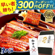 ＼早い者勝ち★300円クーポン／ お中元 御中元 プレゼント うなぎ 国産 小分け 蒲焼き 食べ物 送料無料 …