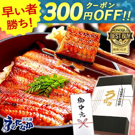 ＼早い者勝ち★300円クーポン／ お中元 御中元 プレゼント うなぎ 国産 小分け 蒲焼き 食べ物 送料無料 鰻 食品 グルメ 人気 ギフト 誕生日 内祝い 夏ギフト 父の日 ご褒美 85〜95g3枚 最強配送 【静岡産 通常 AAA 化粧箱】Bset [2〜3人前] うなぎのたなか