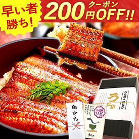 ＼早い者勝ち★200円クーポン／ お中元 御中元 プレゼント うなぎ 国産 小分け 蒲焼き 食べ物 送料無料 鰻 食品 グルメ 人気 ギフト 誕生日 内祝い 夏ギフト ご褒美 敬老の日 早割 85〜95g3枚 最強配送 【静岡産 通常 AAA 化粧箱】Bset [2〜3人前] うなぎのたなか