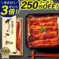 ＼上半期大感謝祭★P3倍＆250円クーポン／ お中元 御中元 ギフト 国産 浜名湖 うなぎ プレゼント 蒲焼き …