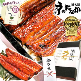＼夏休みSALE★ポイント3倍！／ お中元 御中元 うなぎ 国産 蒲焼き ギフト 食べ物 送料無料 鰻 プレゼント 夏ギフト お祝い 食品 グルメ 人気 内祝い 誕生日 敬老の日 早割 最強配送 ご褒美 180〜200g2本 2尾 【静岡産 通常 AAA 化粧箱】iset [2〜3人前]