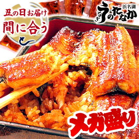 ＼今夜23:59迄★ポイント最大8倍／ お中元 御中元 うなぎ 国産 蒲焼き ギフト 食べ物 鰻 プレゼント 夏ギフト お祝い 食品 グルメ 人気 内祝い 誕生日 土用の丑の日 まだ間に合う 父の日 最強配送 ご褒美 選べるセット 【静岡産 AAA 簡易箱】megamori [3〜5人前]