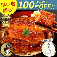 ＼早い者勝ち★100円クーポン／ お中元 御中元 プレゼント うなぎ 国産 小分け 蒲焼き 食べ物 送料無料 …
