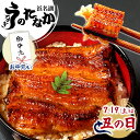 ＼W利用で205円クーポン！／ お中元 御中元 うなぎ 国産 蒲焼き ギフト 食べ物 送料無料 鰻 プレゼント 夏ギフト お祝い 食品 グルメ 人気 内祝い 誕生日 土用の丑の日 父の日 最強配送 ご褒美 85〜95g 2枚〜6枚 【静岡産 AAA 簡易箱・化粧箱・風呂敷】 [1〜6人前]