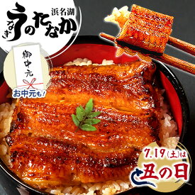 ＼早い者勝ち★150円クーポン／ お中元 御中元 うなぎ 国産 蒲焼き ギフト 食べ物 送料無料 鰻 プレゼント 夏ギフト お祝い 食品 グルメ 人気 内祝い 誕生日 土用の丑の日 父の日 最強配送 ご褒美 85〜95g 2枚〜6枚 【静岡産 AAA 簡易箱・化粧箱・風呂敷】 [1〜6人前]