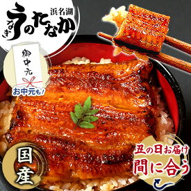 ＼上半期大感謝祭★150円クーポン／ お中元 御中元 プレゼント うなぎ 国産 小分け 蒲焼き 食べ物 送料無料 鰻 食品 グルメ 人気 ギフト 誕生日 内祝い 夏ギフト ご褒美 85〜95g 2枚〜6枚 最強配送 【静岡産 AAA 簡易箱・化粧箱・風呂敷】 [1〜6人前]うなぎのたなか