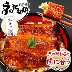＼今夜23:59迄★ポイント最大8倍／ お中元 御中元 うなぎ 国産 蒲焼き ギフト 食べ物 送料無料 鰻 プレゼント 夏ギフト お祝い 食品 グルメ 人気 内祝い 誕生日 土用の丑の日 まだ間に合う 最強配送 85〜95g 2枚〜6枚 【静岡産 AAA 簡易箱・化粧箱・風呂敷】 [1〜6人前]