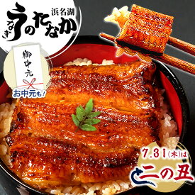 ＼早い者勝ち★150円クーポン／ お中元 御中元 うなぎ 国産 蒲焼き ギフト 食べ物 送料無料 鰻 プレゼント 夏ギフト お祝い 食品 グルメ 人気 内祝い 誕生日 土用の丑の日 父の日 最強配送 ご褒美 85〜95g 2枚〜6枚 【静岡産 AAA 簡易箱・化粧箱・風呂敷】 [1〜6人前]
