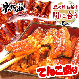 ＼上半期大感謝祭★150円クーポン／ お中元 御中元 プレゼント うなぎ 小分け 国産 蒲焼き 食べ物 送料無料 鰻 食品 グルメ 人気 ギフト 誕生日 内祝い 夏ギフト 父の日 ご褒美 選べる蒲焼き1キロ最強配送 【静岡産 AAA 簡易箱】tenkomori [3〜5人前]うなぎのたなか