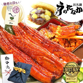 ＼夏休みSALE★ポイント3倍！／ お中元 御中元 うなぎ 国産 蒲焼き ギフト 食べ物 送料無料 鰻 プレゼント 夏ギフト お祝い 食品 グルメ 誕生日 敬老の日 早割 特大長蒲焼1本 1尾 カット蒲焼2枚 どら焼き 【静岡産 通常 AA 風呂敷】furoshiki-Asetdora2 [2〜3人前]
