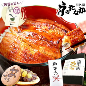 ＼夏休みSALE★ポイント3倍！／ お中元 御中元 うなぎ 国産 蒲焼き ギフト 食べ物 送料無料 鰻 プレゼント 夏ギフト お祝い 食品 グルメ 人気 内祝い 誕生日 敬老の日 早割 最強配送 蒲焼き3枚 どら焼き付 【静岡産 AA 化粧箱】Bsetdora2 [2〜3人前]