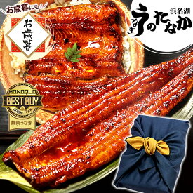 ＼20周年記念★ポイント5倍！／ うなぎ 国産 蒲焼き 食べ物 送料無料 鰻 プレゼント ギフト お祝い 食品 グルメ 人気 内祝い 誕生日 土用の丑の日 最強配送 お歳暮 早割 御歳暮 お年賀 ご褒美 特大長蒲焼1本 1尾 カット蒲焼き2枚 【静岡産 AAA 風呂敷】FA [2〜3人前]