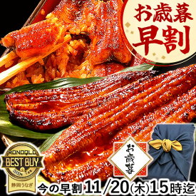 ＼早割11/20(木)まで！／ お歳暮 早割 うなぎ 国産 蒲焼き 食べ物 送料無料 鰻 プレゼント ギフト お祝い 食品 グルメ 人気 内祝い 誕生日 土用の丑の日 最強配送 御歳暮 お年賀 御年賀 ご褒美 180〜200g2本 2尾 【静岡産 通常 AAA 風呂敷】Ftn2 [2〜3人前]