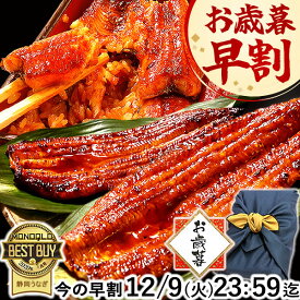 ＼ポイント2倍&緊急クーポン！／ お歳暮 早割 うなぎ 国産 蒲焼き 食べ物 送料無料 鰻 プレゼント ギフト お祝い 食品 グルメ 人気 内祝い 誕生日 土用の丑の日 最強配送 御歳暮 お年賀 御年賀 ご褒美 180〜200g2本 2尾 【静岡産 通常 AAA 風呂敷】Ftn2 [2〜3人前]