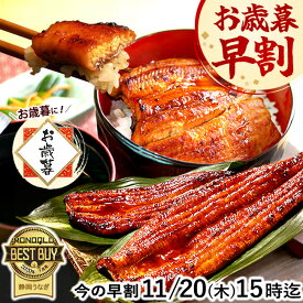 ＼早割11/20(木)まで！／ お歳暮 早割 うなぎ 国産 蒲焼き 食べ物 送料無料 鰻 プレゼント ギフト お祝い 食品 グルメ 人気 内祝い 誕生日 最強配送 御歳暮 お年賀 御年賀 ご褒美 90〜110g 150〜160g 180〜200g 2〜6尾 【静岡産 AAA 簡易箱】Gset [1〜6人前]