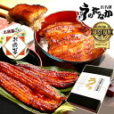 ＼20周年記念★ポイント5倍！／ うなぎ 国産 蒲焼き 食べ物 送料無料 鰻 プレゼント ギフト お祝い 食品 グルメ 人気 内祝い 誕生日 土用の丑の日 最強配送 お歳暮 早割 御歳暮 お年賀 御年賀 ご褒美 90〜110g2本 2尾 【静岡産 通常 AAA 化粧箱】gset [1〜2人前]