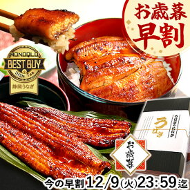 ＼ポイント2倍&緊急クーポン！／ お歳暮 早割 うなぎ 国産 蒲焼き 食べ物 送料無料 鰻 プレゼント ギフト お祝い 食品 グルメ 人気 内祝い 誕生日 土用の丑の日 最強配送 御歳暮 お年賀 御年賀 ご褒美 90〜110g2本 2尾 【静岡産 通常 AAA 化粧箱】gset [1〜2人前]