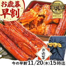＼早割11/20(木)まで！／ お歳暮 早割 うなぎ 国産 蒲焼き 食べ物 送料無料 鰻 プレゼント ギフト お祝い 食品 グルメ 人気 内祝い 誕生日 最強配送 御歳暮 お年賀 御年賀 ご褒美 特大長蒲焼き1本 1尾 カット蒲焼き2枚 【静岡産 AAA 化粧箱】Aset [2〜3人前]