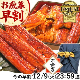 ＼ポイント2倍&緊急クーポン！／ お歳暮 早割 うなぎ 国産 蒲焼き 食べ物 送料無料 鰻 プレゼント ギフト お祝い 食品 グルメ 人気 内祝い 誕生日 最強配送 御歳暮 お年賀 御年賀 ご褒美 特大長蒲焼き1本 1尾 カット蒲焼き2枚 【静岡産 AAA 化粧箱】Aset [2〜3人前]