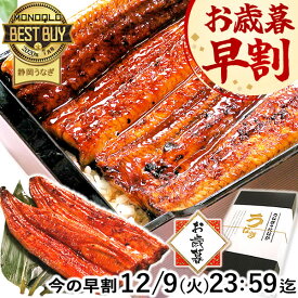 ＼ポイント2倍&緊急クーポン！／ お歳暮 早割 うなぎ 国産 蒲焼き 食べ物 送料無料 鰻 プレゼント ギフト お祝い 食品 グルメ 人気 内祝い 誕生日 土用の丑の日 最強配送 御歳暮 お年賀 御年賀 ご褒美 180〜200g2本 2尾 【静岡産 通常 AAA 化粧箱】iset [2〜3人前]
