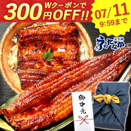＼早い者勝ち★300円クーポン／ お中元 御中元 プレゼント うなぎ 国産 蒲焼き 食べ物 送料無料 鰻 食品 …