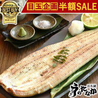 ＼まもなく終了★半額SALE！／ うなぎ 国産 蒲焼き 食べ物 送料無料 鰻 プレゼント お祝い 食品 グルメ …