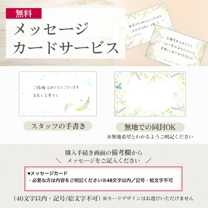 楽天市場】食洗機対応 箸・箸ケースセット(ハーフ）グッディ 青 19.5cm 送料無料 （箸・箸箱セット 箸入れ 大人 お弁当箱用 携帯箸 若狭箸  日本製 国産） : 漆器とキッチン 祭りのええもん