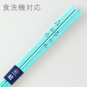 H@Ή ዷh  Ft u[ 23cm Y { l w_ohashi