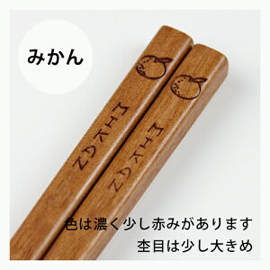  q ̂Ȃؔ ݂    18cm Iׂ4 \ q  ~ I 