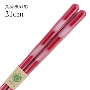 H@Ή ዷ EF Ƃڋ fCY bh 21cm  ዷ Y { l  ዷ Y { l  GR eco nɂ₳ SDGs