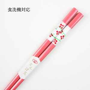 H@Ή ዷh  Ƃڋ ԕsN 21cm Y w_ohashi