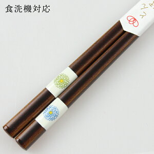 H@Ή ዷh  Ƃڋ _A 23cm i ዷ Y { H􂢊@Ήj