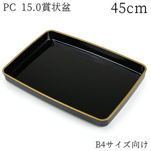 ܏~ IB PC 5 B4TCY 45cm i { Y `H| T  wZ Ǝ w \ ܏ s