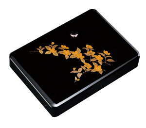 IB   11.0 Riޓ ސj255212