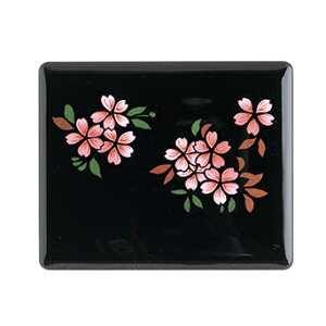 ���G ��ӃP�[�X �� �i��������j