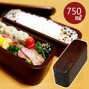 キッチン雑貨 消耗品 2段 スリム 弁当箱 ランチボックスの人気商品 通販 価格比較 価格 Com