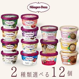 ハーゲンダッツ アイスクリーム ミニカップ 14種類から2種類選べる福袋12個（6個×2種類）セット
