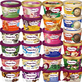 ハーゲンダッツ アイスクリーム ミニカップ 25種類から2種類選べる福袋12個（6個×2種類）セット