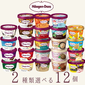 ハーゲンダッツ アイスクリーム ミニカップ 23種類から2種類選べる福袋12個（6個×2種類）セット お中元 ギフト