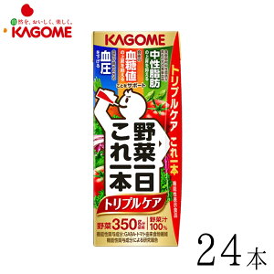 JS ؐ ؈{gvPA 200ml×24{