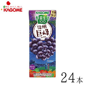 JS ؐ ؐ100 MB~bNX 195ml×24{