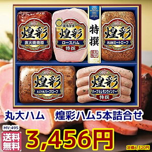 117甭Ε Ε  Mtg EBi[ ۑHi  ۑ5{ZbgMtg܁iMV-495j[J[jyn lߍ킹 Mtg i@ @ۑHi nMt