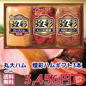 20%oׁΕ@蕨@MtgMtg܊ۑnMtg3{ZbgGT-40B̓