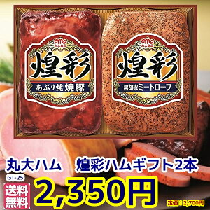 oׁΕ@蕨Mtg@GT-25ۑn2{(Ԃďē؁EӞ~[g[t)Zbgv[g@A