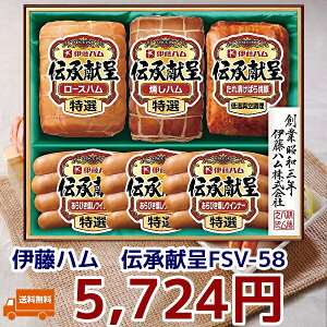 蕨@Mtg@ɓn@`MtgFSV-58@①