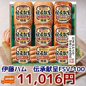 蕨@Mtg@ɓn@`MtgFSV-100@①